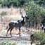 Morokolo Safari Lodge Self-catering