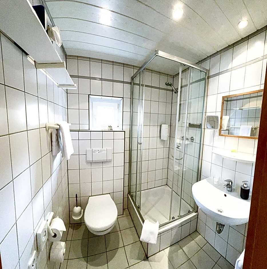 Hotel zur Loreley - Garni