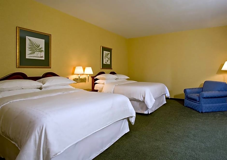 OYO Hotel St Louis Downtown City Center MO