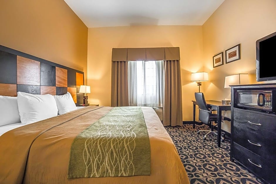 Comfort Inn Ballard-Roosevelt