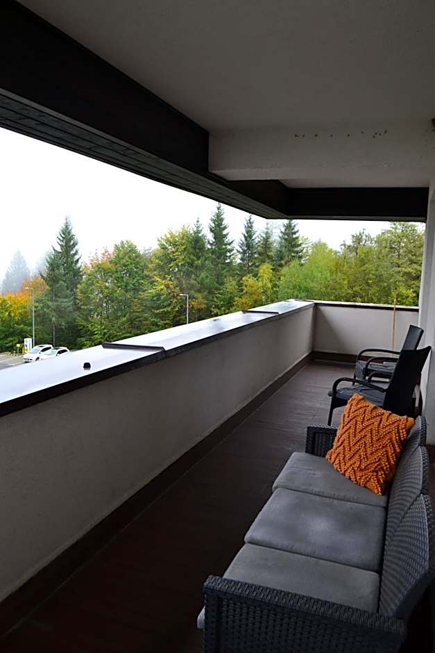 Mountain Nest in Silver Mountain Poiana Brasov