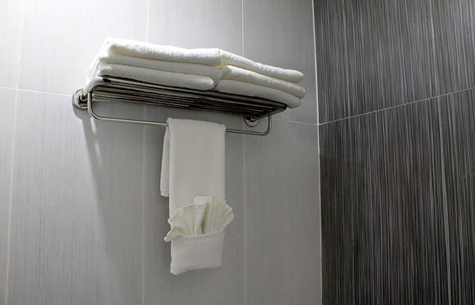 Casa Inn Business Irapuato