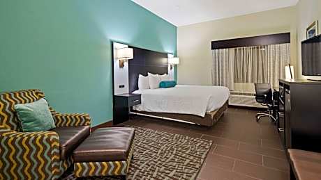 King Room - Pet-Friendly