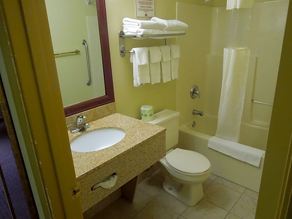 Quality Inn & Suites Dublin