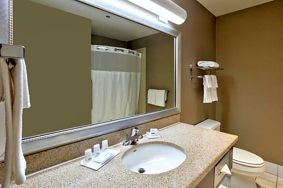 Holiday Inn Hotel & Suites Santa Maria By IHG
