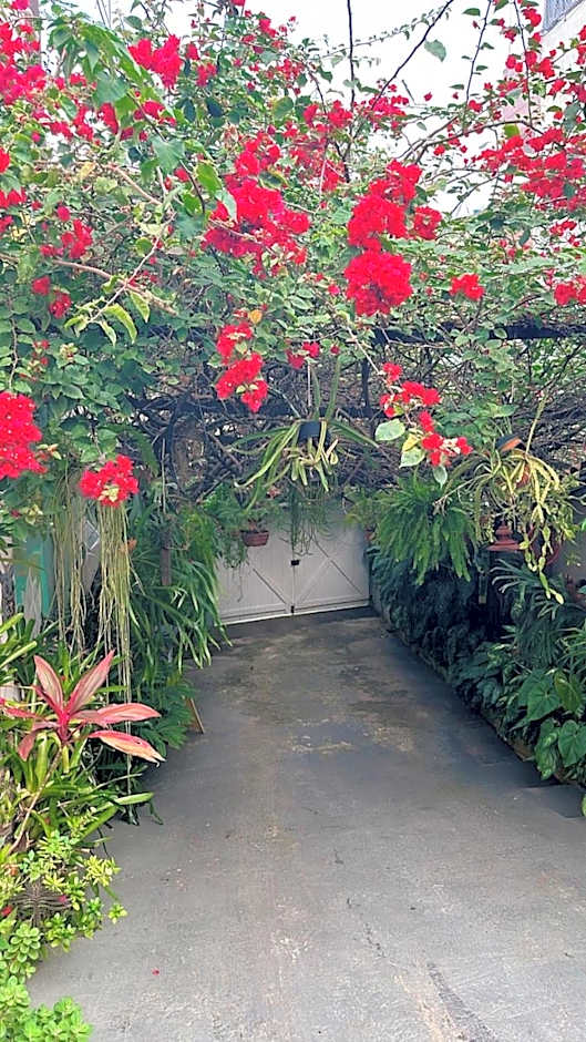 Village Potira - The Guest House