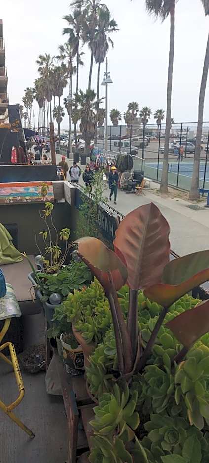 Ocean Front Vortex Female Hostel private rooms Free bikes