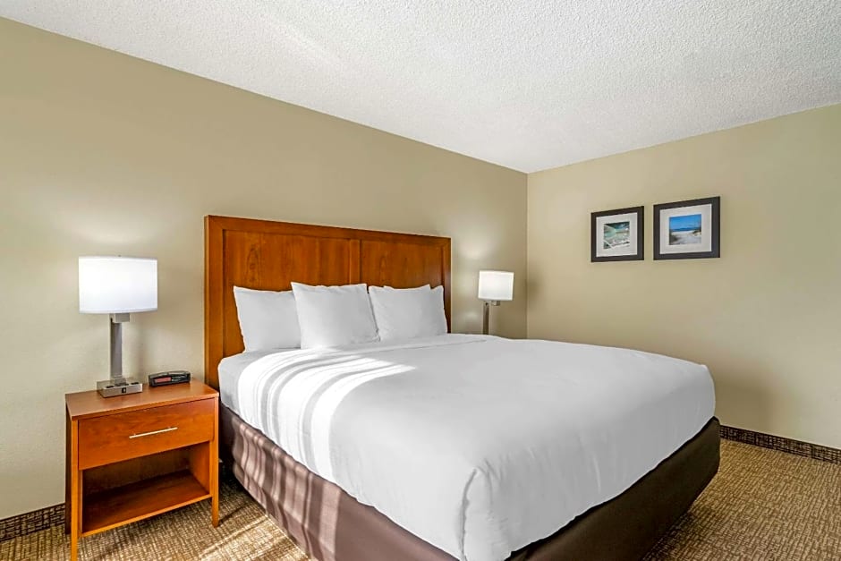 Comfort Inn & Suites St. Pete - Clearwater International Airport