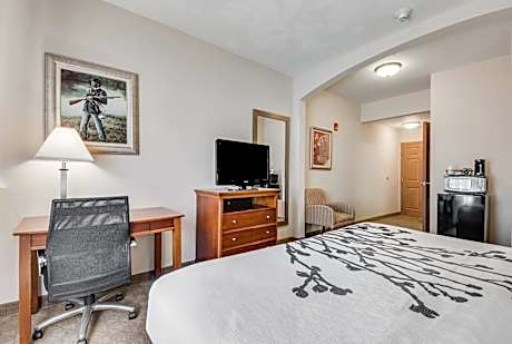 1 King Bed, Nonsmoking, Accessible