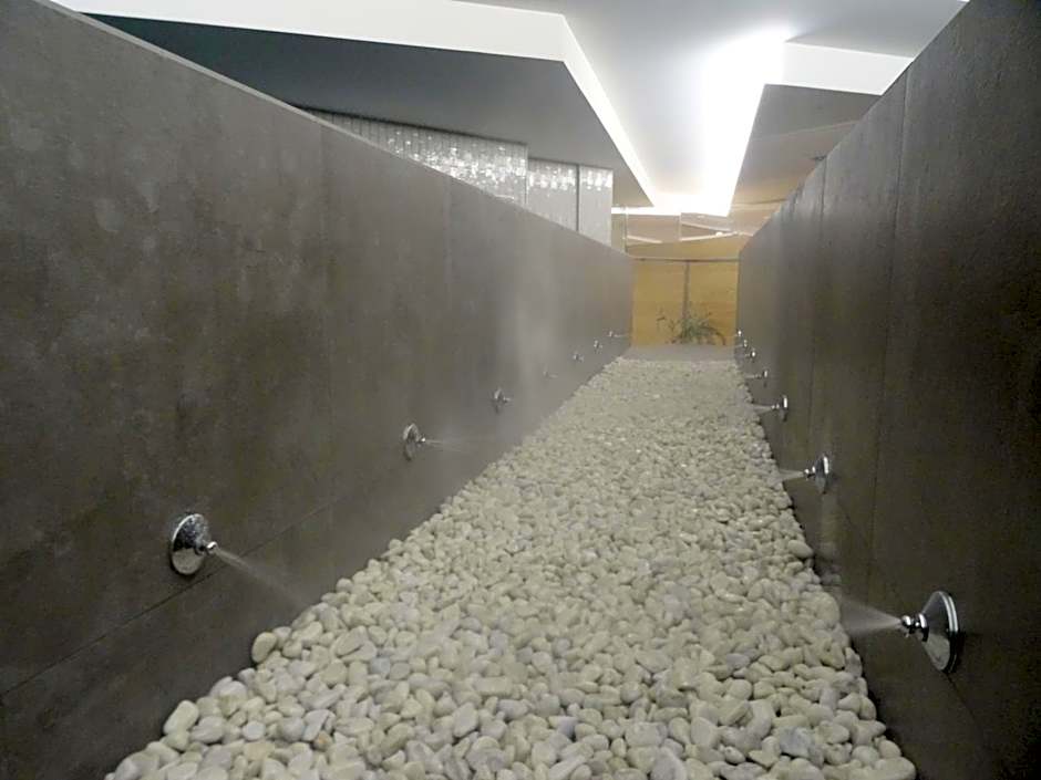 Hotel Spa OdeÃ³n