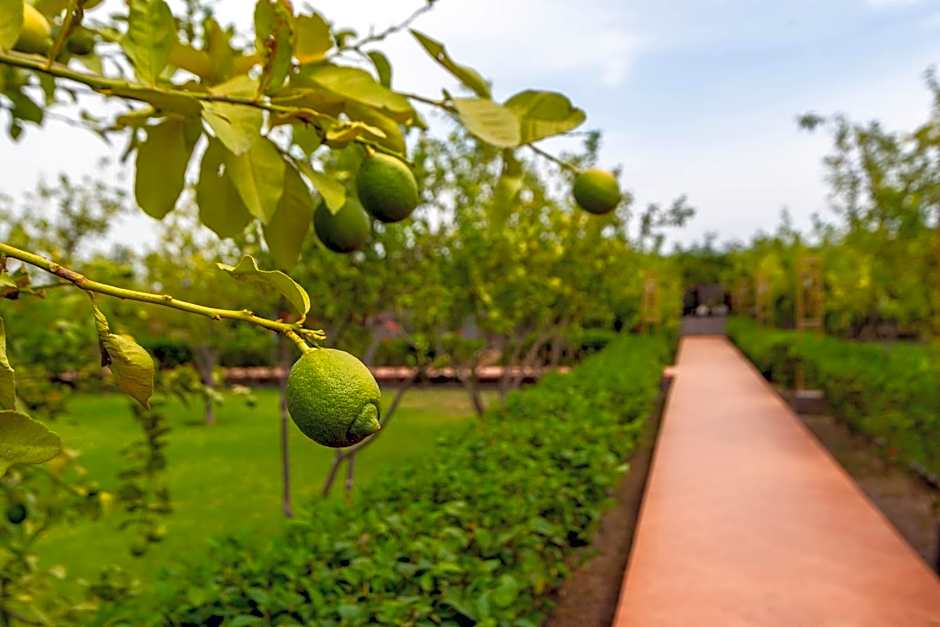 The Lemonary Marrakech