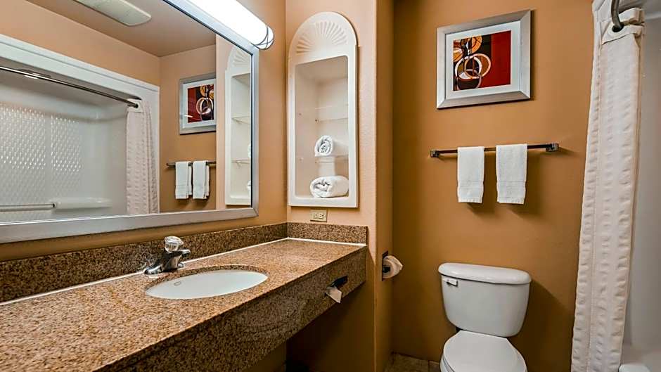 Best Western Plus The Woodlands