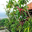 Kondra Premiere Guest House Kuta