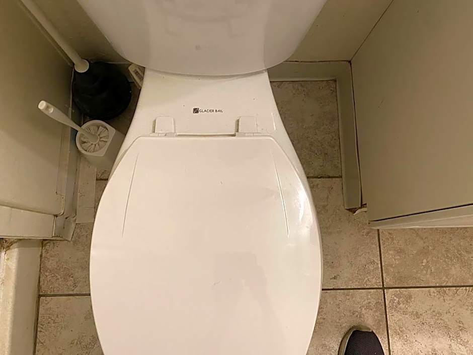 WHOLE Family - Rosemont