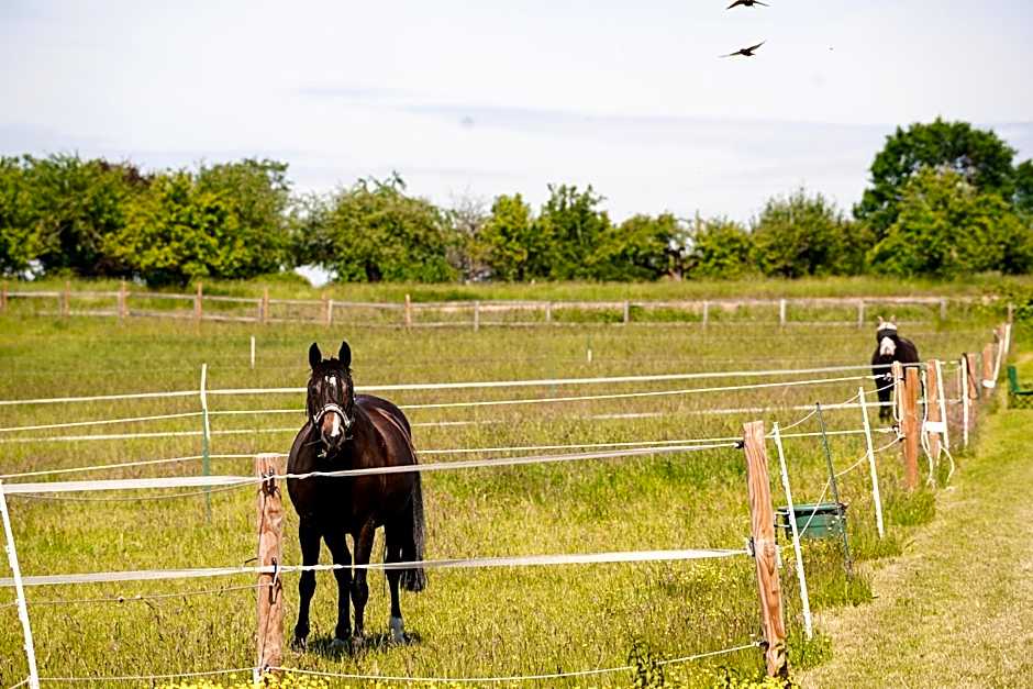 Frühstückspension Christinenhof