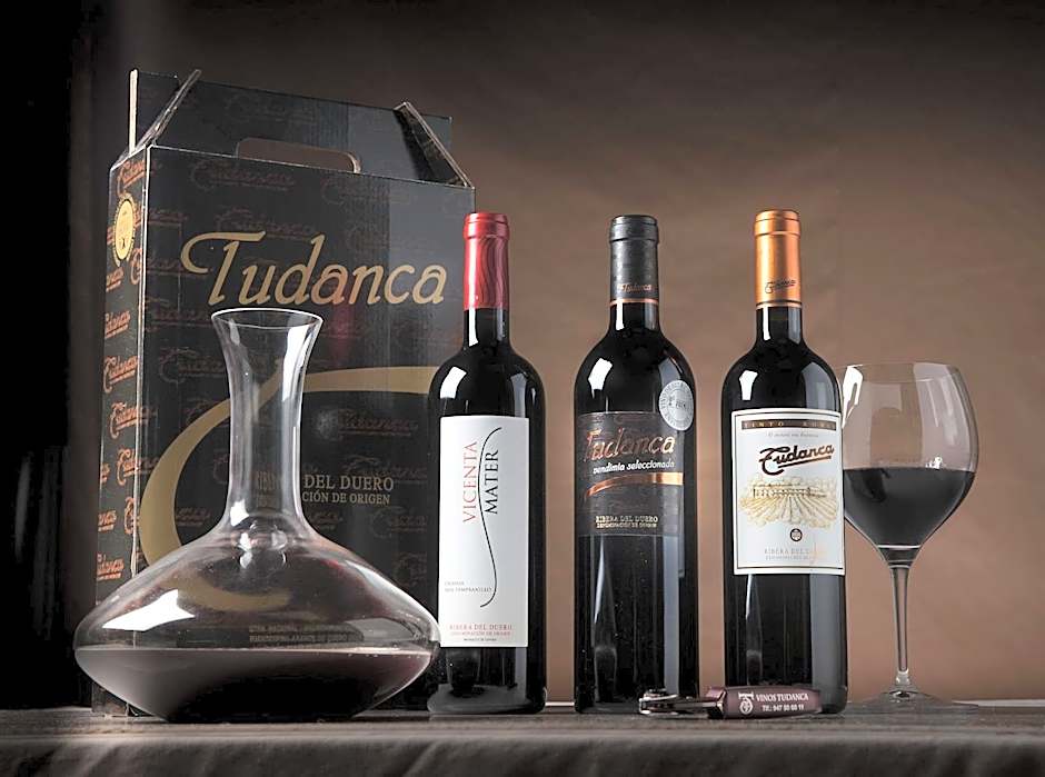 Hotel Spa Tudanca Aranda