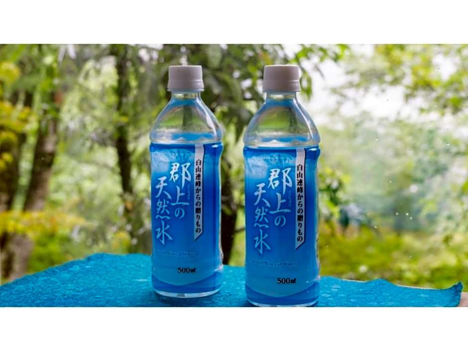 Hotel Sekisuien - Vacation STAY 44700v