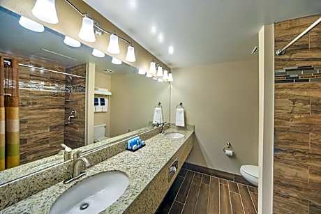 Regal Suite (1 King Bed)