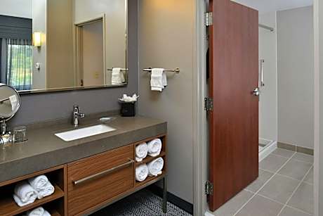 Suite, 1 King, Sofa bed