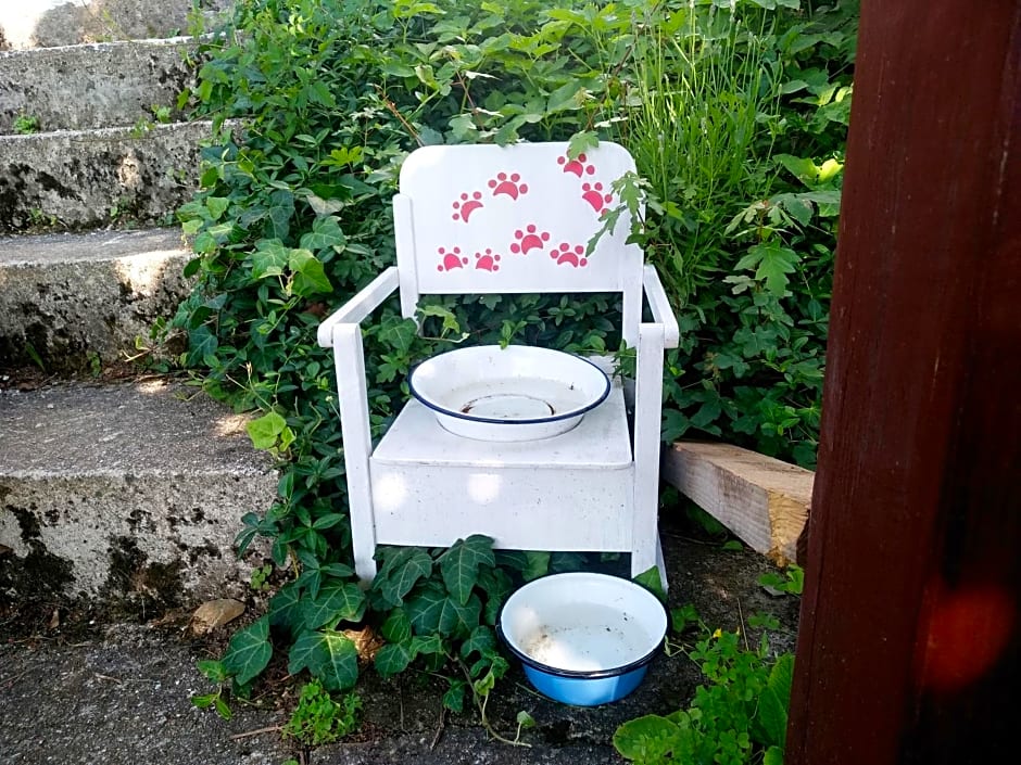 Na Okić - a private forest oasis