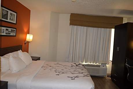 King Room - Non-Smoking