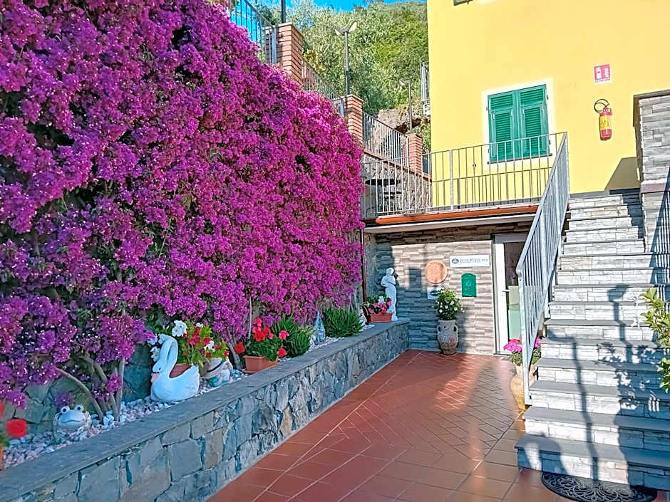 B&B Vignola