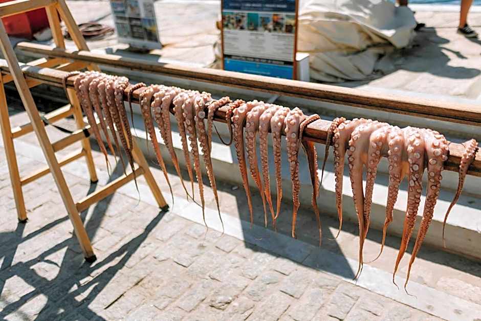 HERCULES LUXURY LIVING