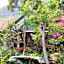 Dajan Buyan Homestay