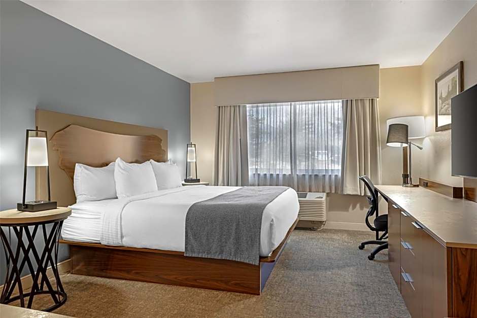 Best Western Vista Inn