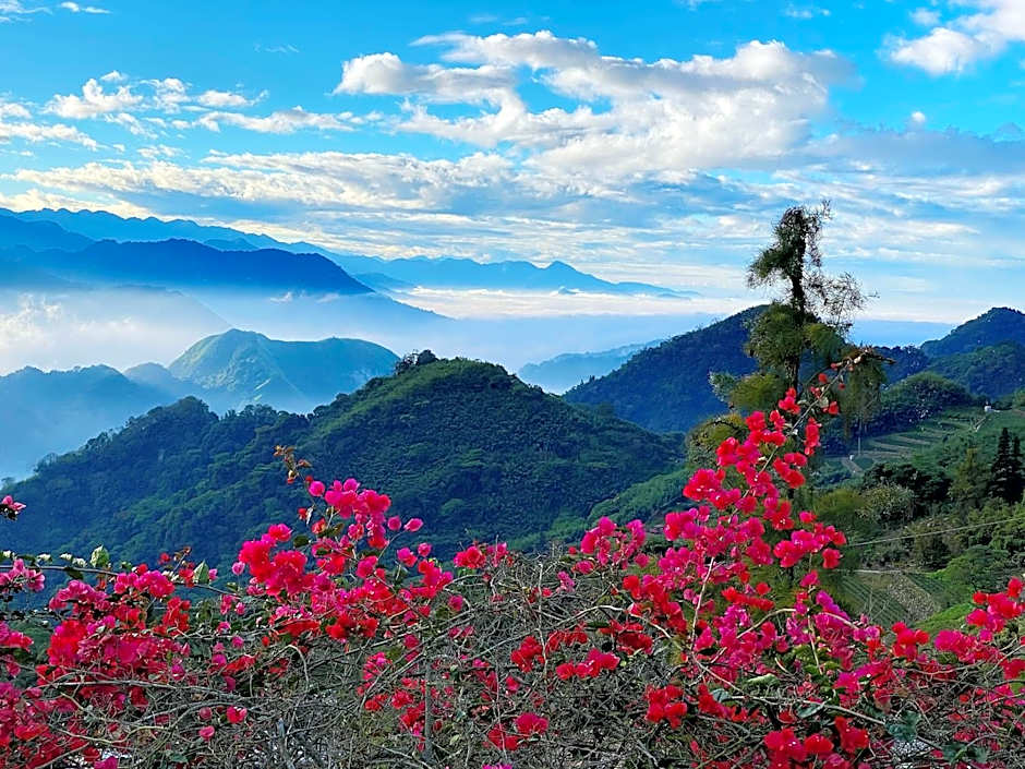 Alishan Tea Garden B&B