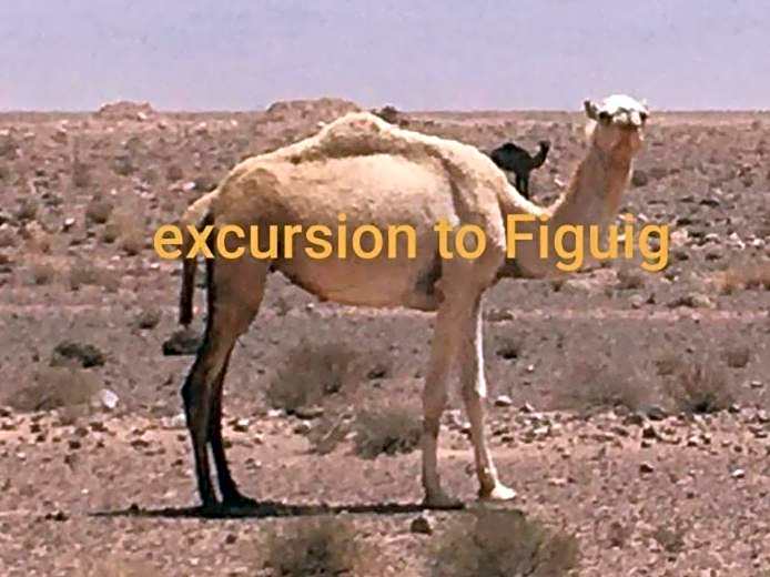 Hotel LAHLOU riad Cafeteria