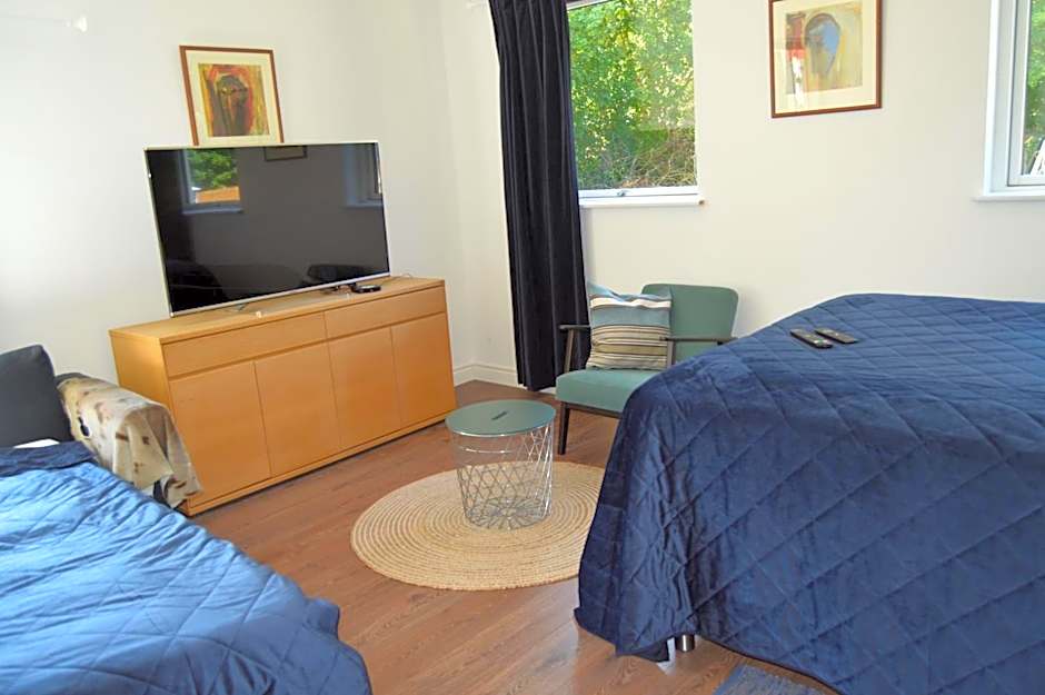 Serengeti & Stayover