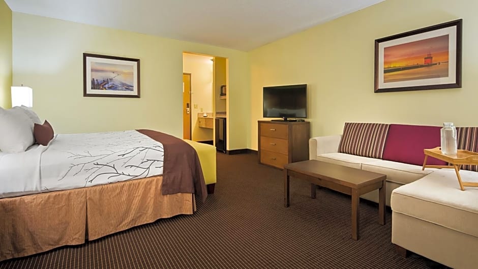 Best Western Plus Holland Inn & Suites