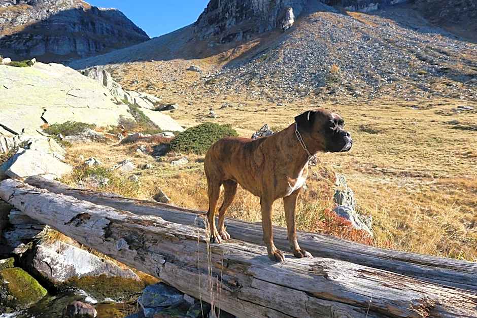 B&B Alpe Veglia