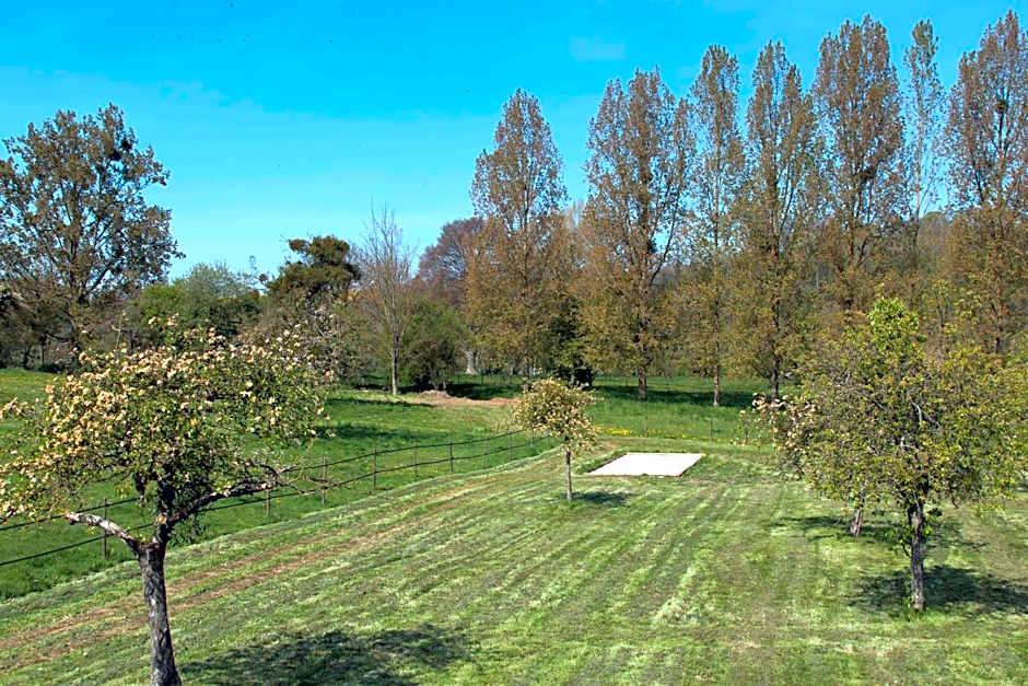 La Pomme Pétillante