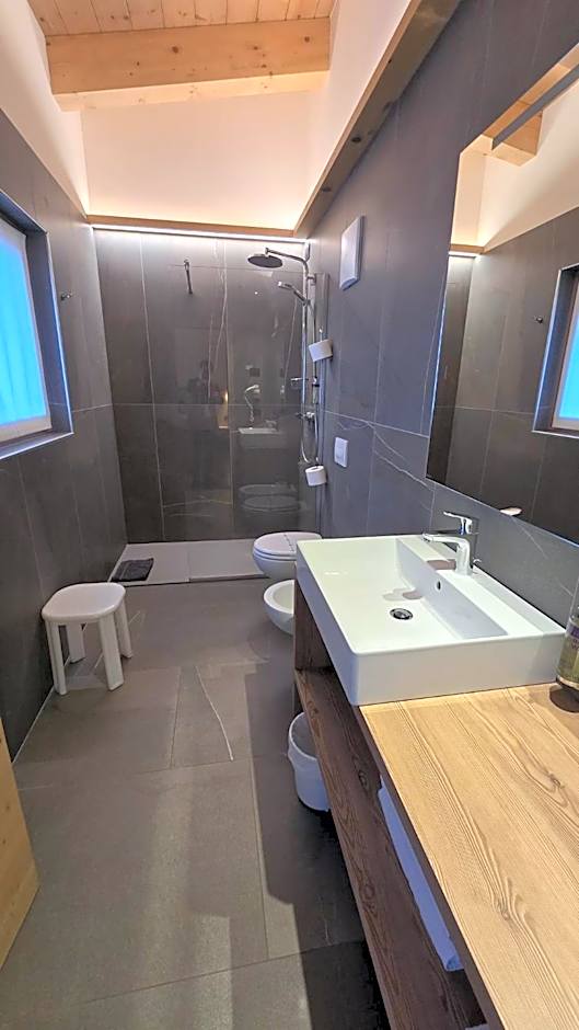 Alpen Hotel Vidi