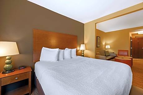 1 King Bed, Non-Smoking, Shower Only, Microwave And Refrigerator, 37 Inch Lcd Television, Pillowtop 