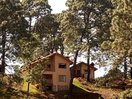 Apartment capacity 8