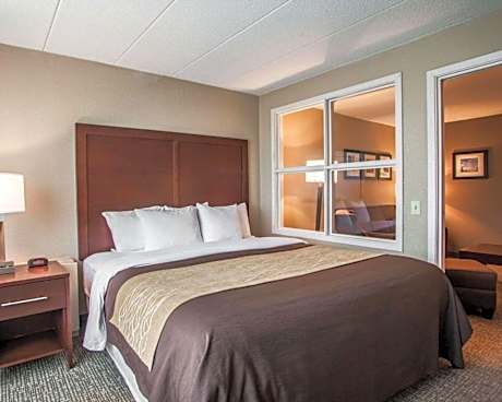 1 King Bed Suite Nonsmoking