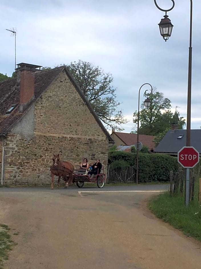 Chambre d’hôte - Ilse's Garden Chair