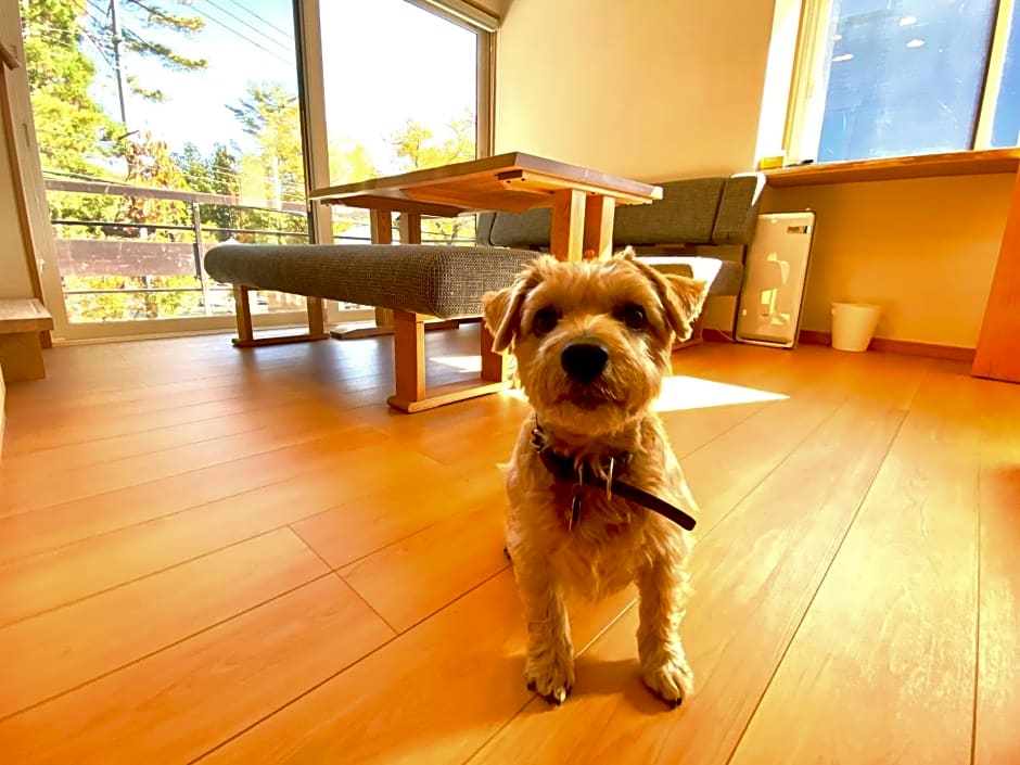 Hakuba Powder Mountain