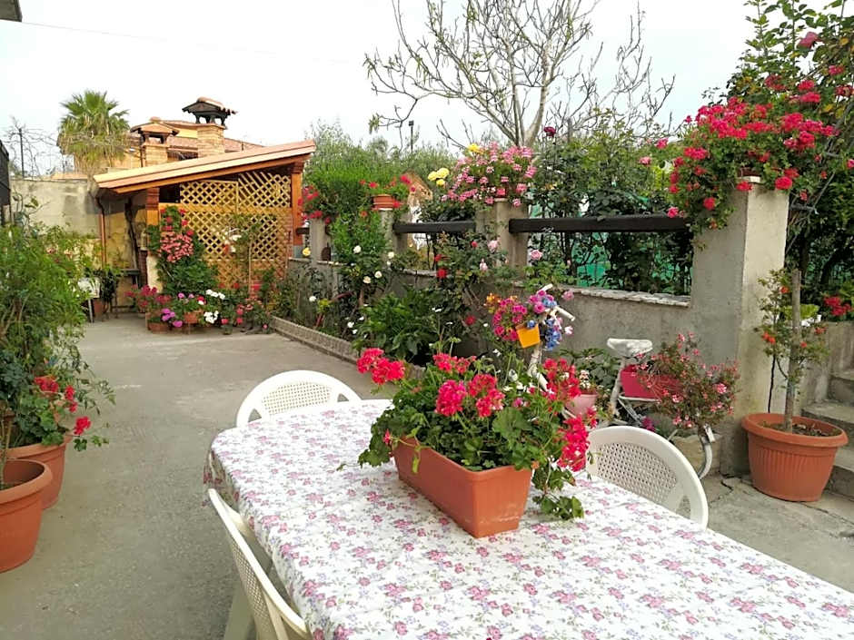 Villa delle rose
