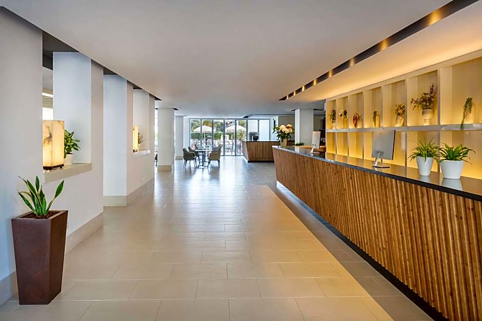 Sol Palmanova-Mirlos Tordos