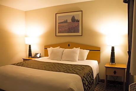 Executive King Suite Nonsmoking