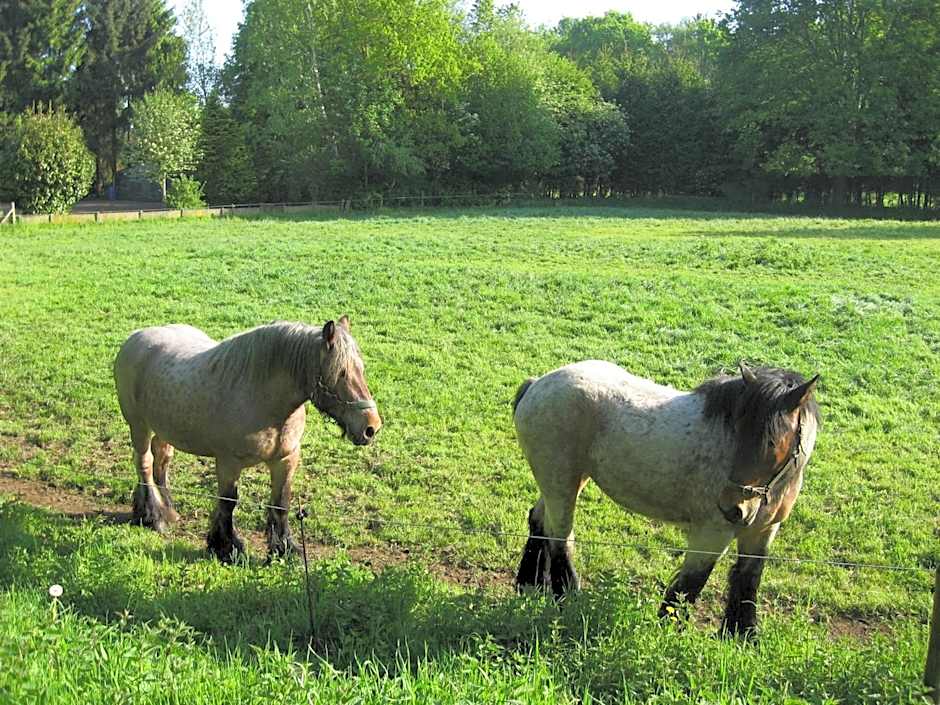 B&B Baron's House Neerijse-Leuven