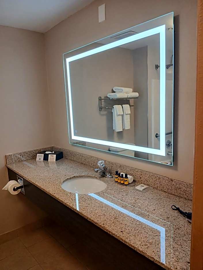 Best Western Plus Bradenton Hotel & Suites