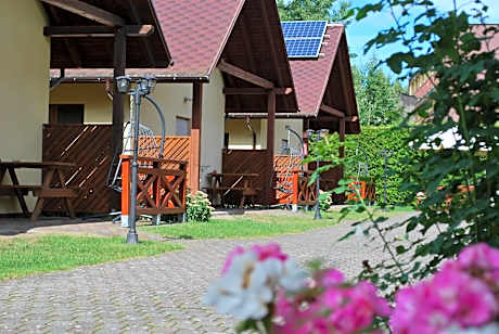 Kameleon Dźwirzyno