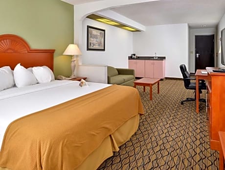 1 King Bed Nonsmoking