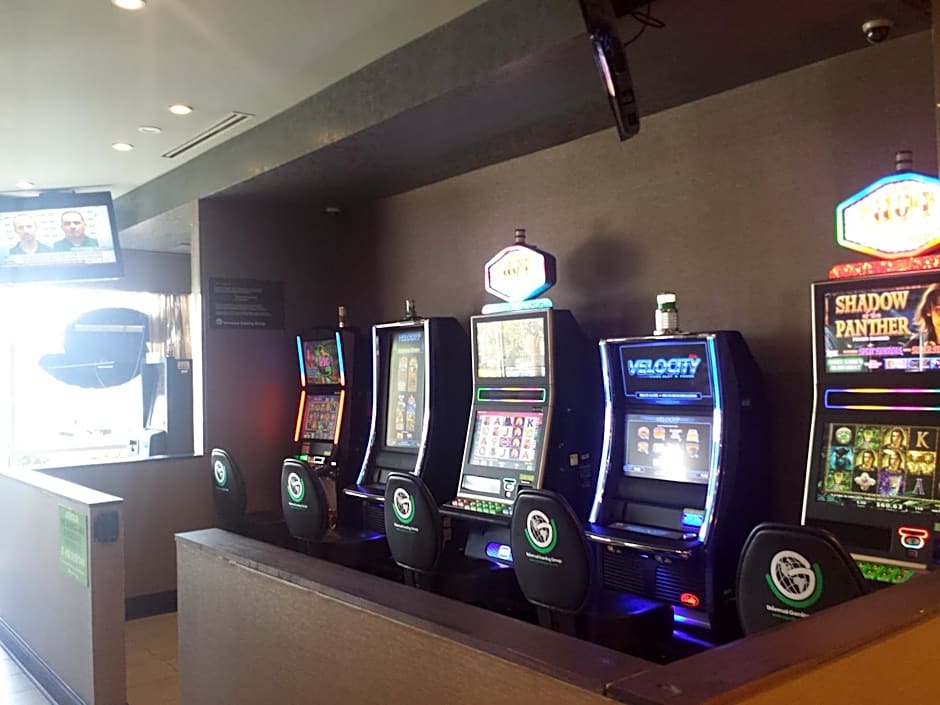 Wyndham Garden Elk Grove Village / O'Hare
