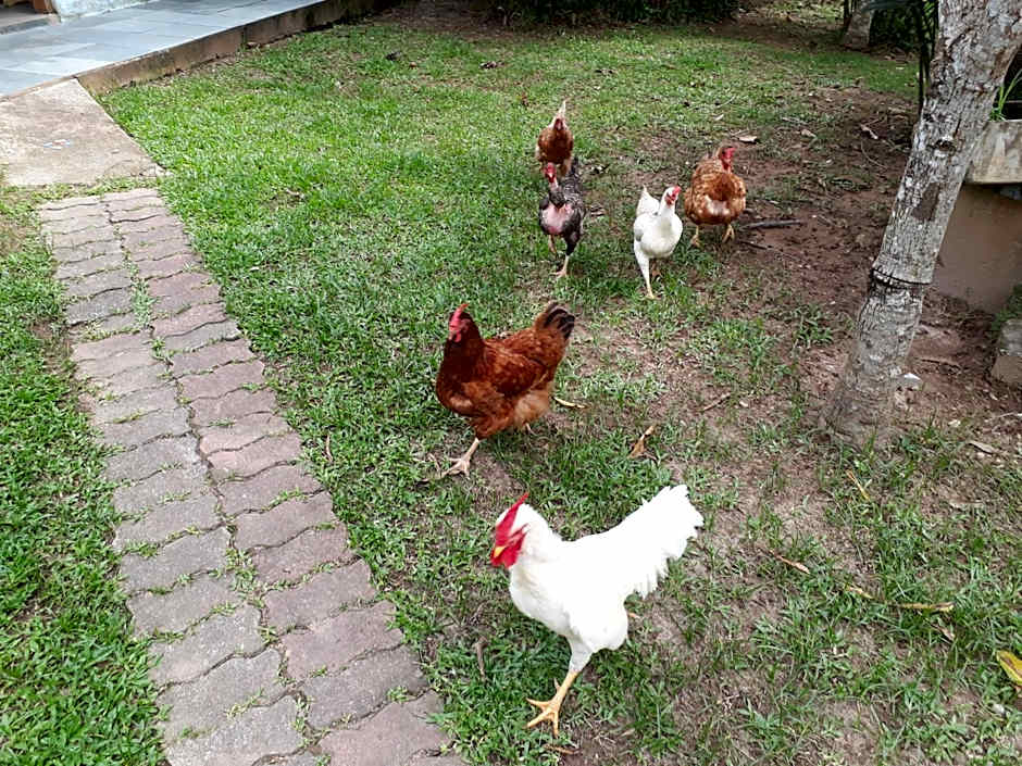 Aconchego 3 dorms, piscina, churrasq em Condomínio Fechado